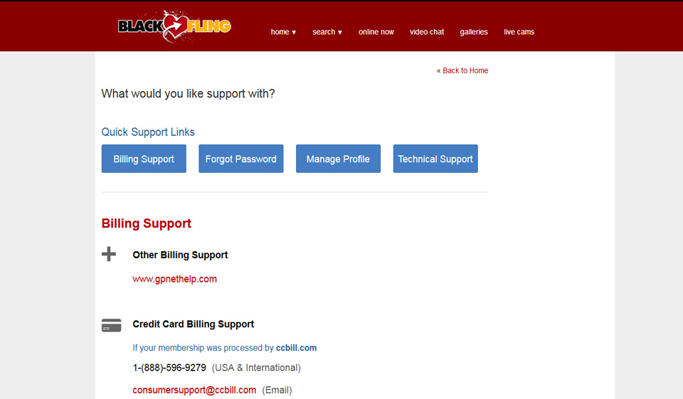 Recensione BlackFling - Dove le persone di colore calde vengono a divertirsi