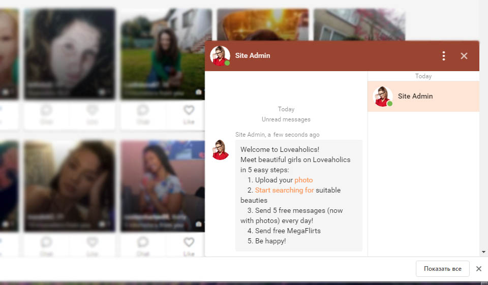 Loveaholics: quanto è user-friendly l'interfaccia?