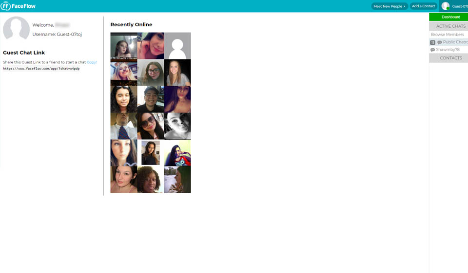 Recensione FaceFlow - Dovresti usare questo sito web?
