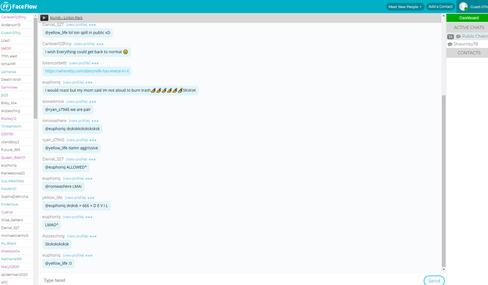 Recensione FaceFlow - Dovresti usare questo sito web?