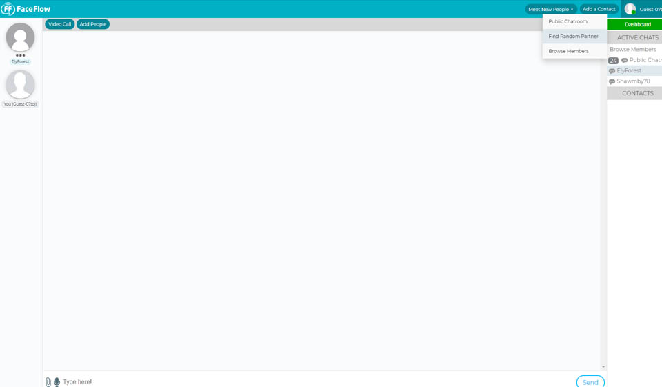 Recensione FaceFlow - Dovresti usare questo sito web?