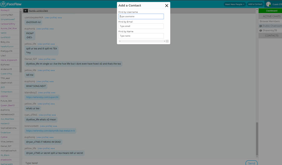 Recensione FaceFlow - Dovresti usare questo sito web?