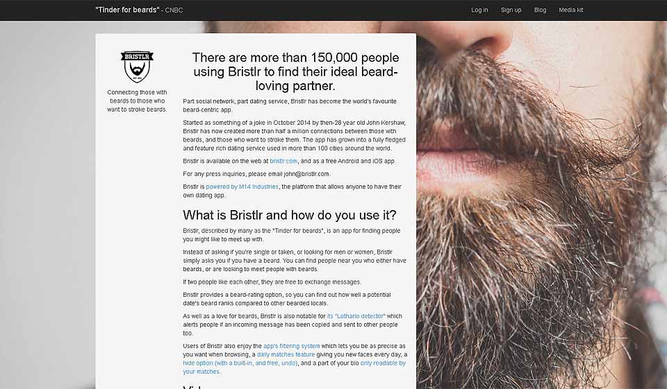 Qual è la qualità del profilo e il processo di verifica su Bristlr?