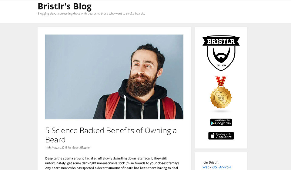 Come annullare l'abbonamento a pagamento su Bristlr