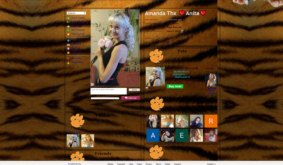 Processo di registrazione e profilo utente di Hi5