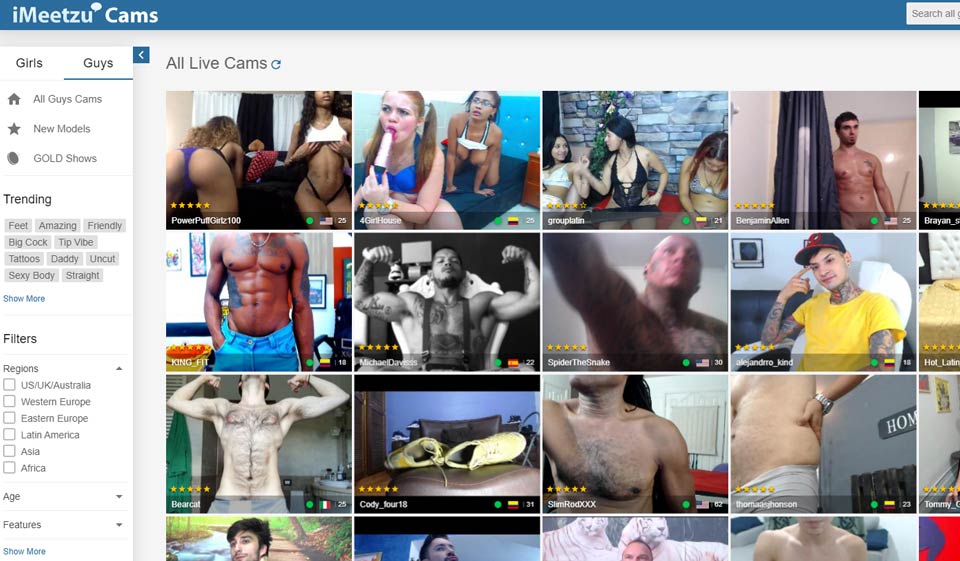 Processo di registrazione e profilo utente di iMeetzu