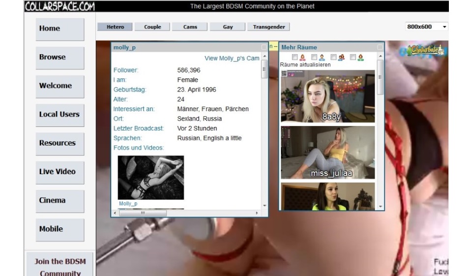 Recensione di Collarspace - Legit o Scam?